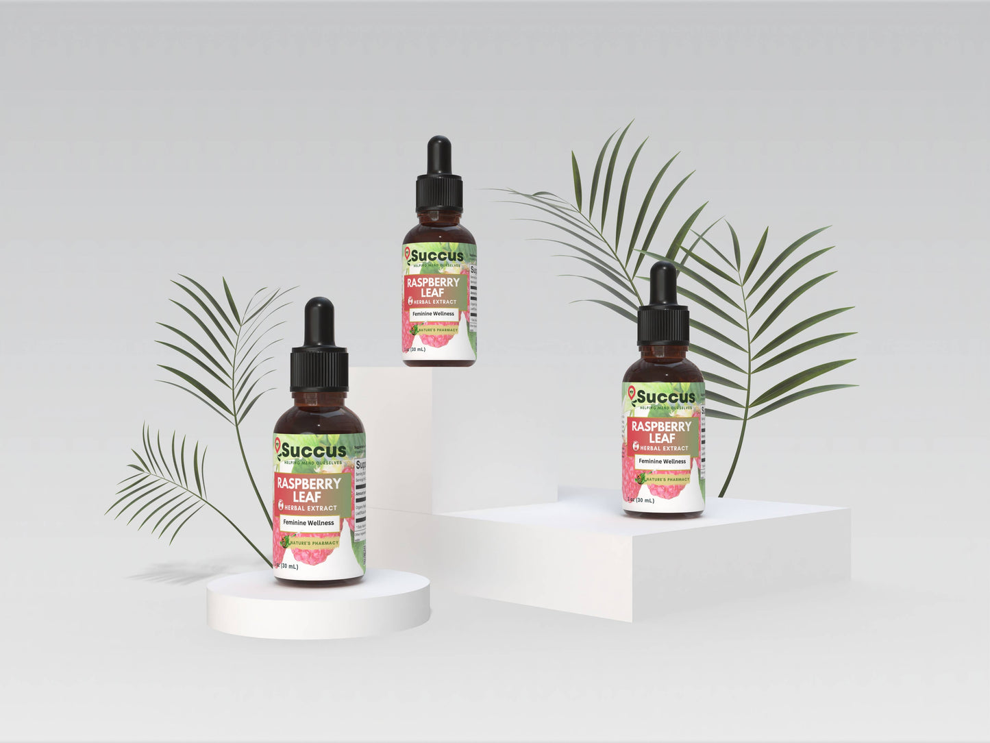 Raspberry Leaf Tincture - Woman's Wellness Succus