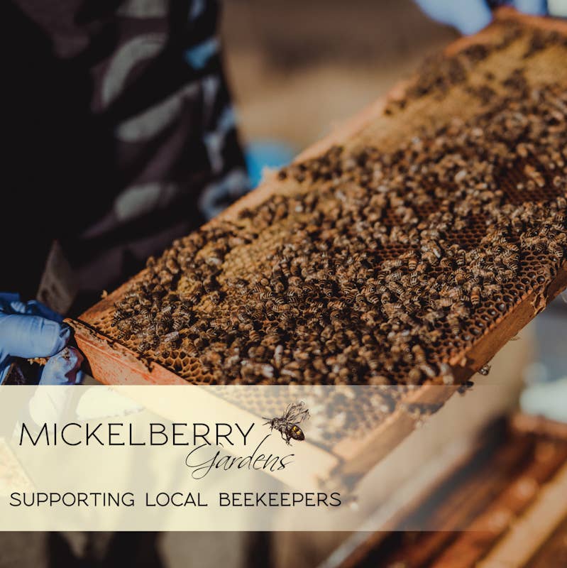 Mickelberry Gardens - Bee Pollen — raw, clean and pure multivitamin