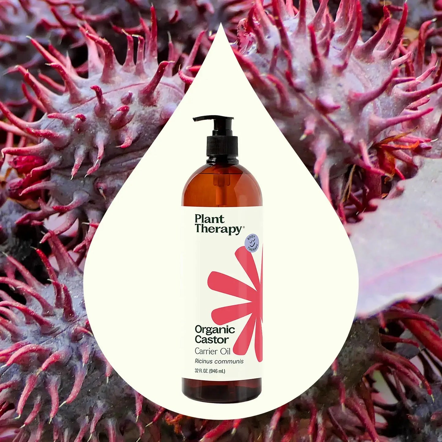 Plant Therapy - Organic Castor Oil 32 oz
