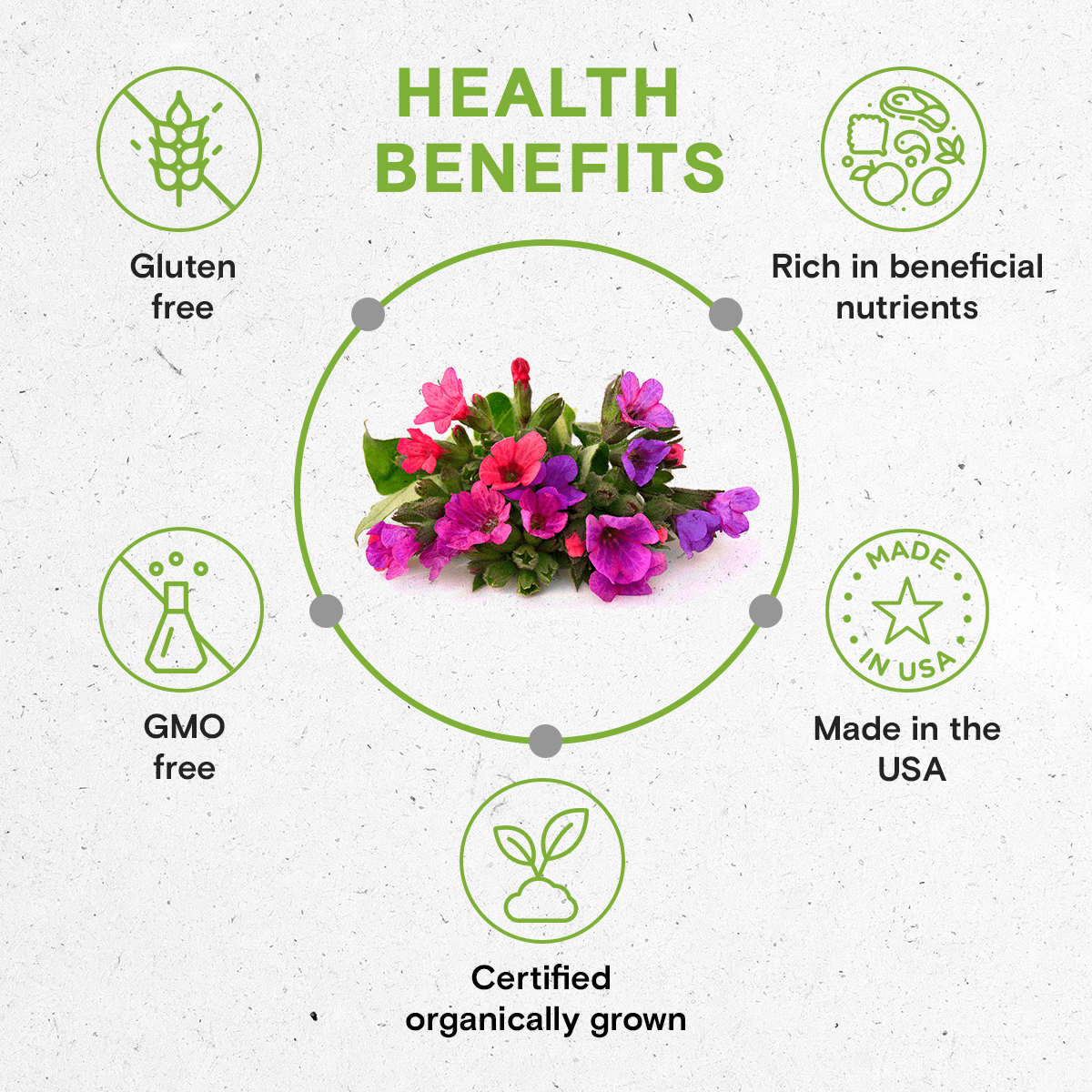 Secrets Of The Tribe - Lungwort Tincture