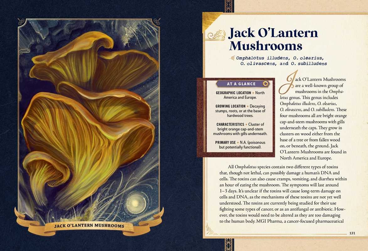 Simon & Schuster - Little Book of Mushrooms by Alex Dorr