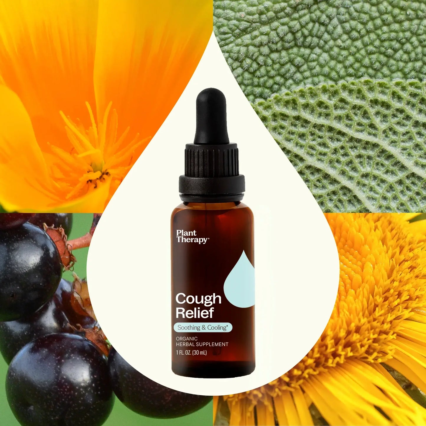 Plant Therapy - Cough Relief Organic Herbal Supplement 30 ml