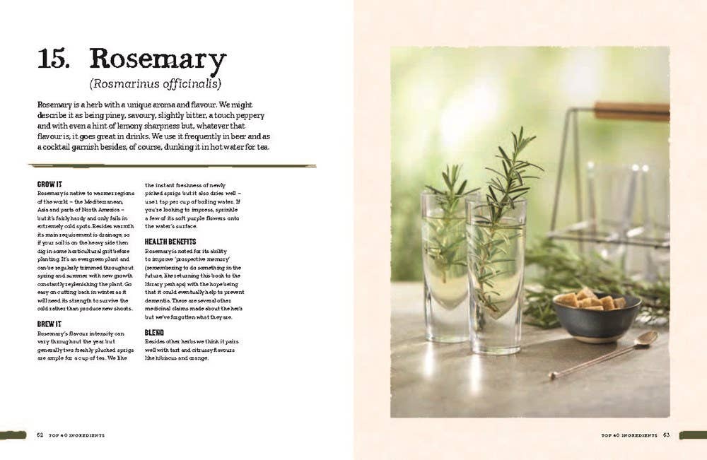 Two glasses of herbal rosemary infusion with rosemary sprigs, sugar cubes in bowl, and spoon on table