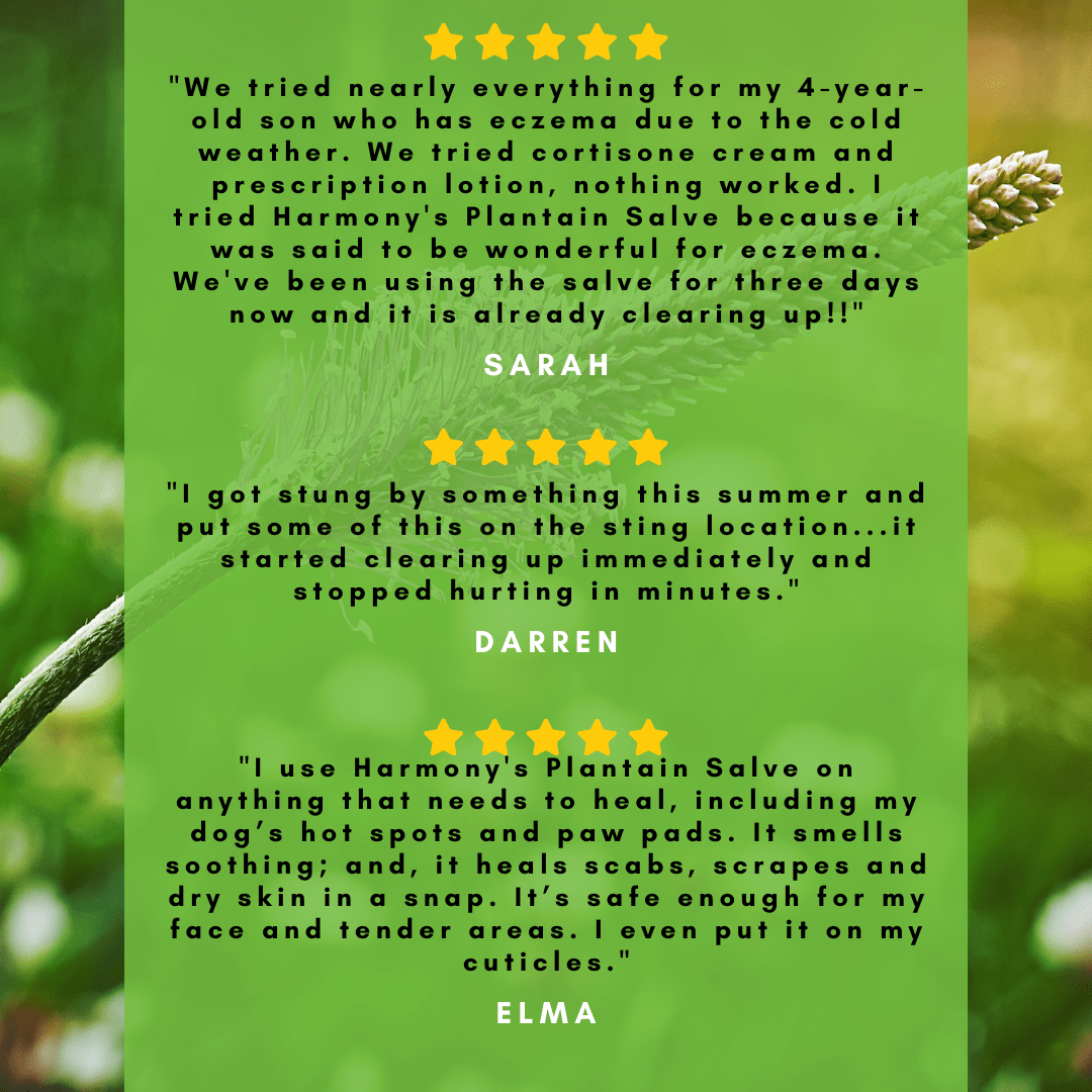 Healthy Energy Amazing Life - H.E.A.L.'s Plantain Salves- OLD PACKAGING