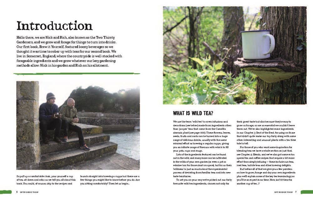 Open book spread featuring an introduction with a photo of two men on stone steps and a nature scene with a mug on a tree fungus, promoting wild tea and foraging