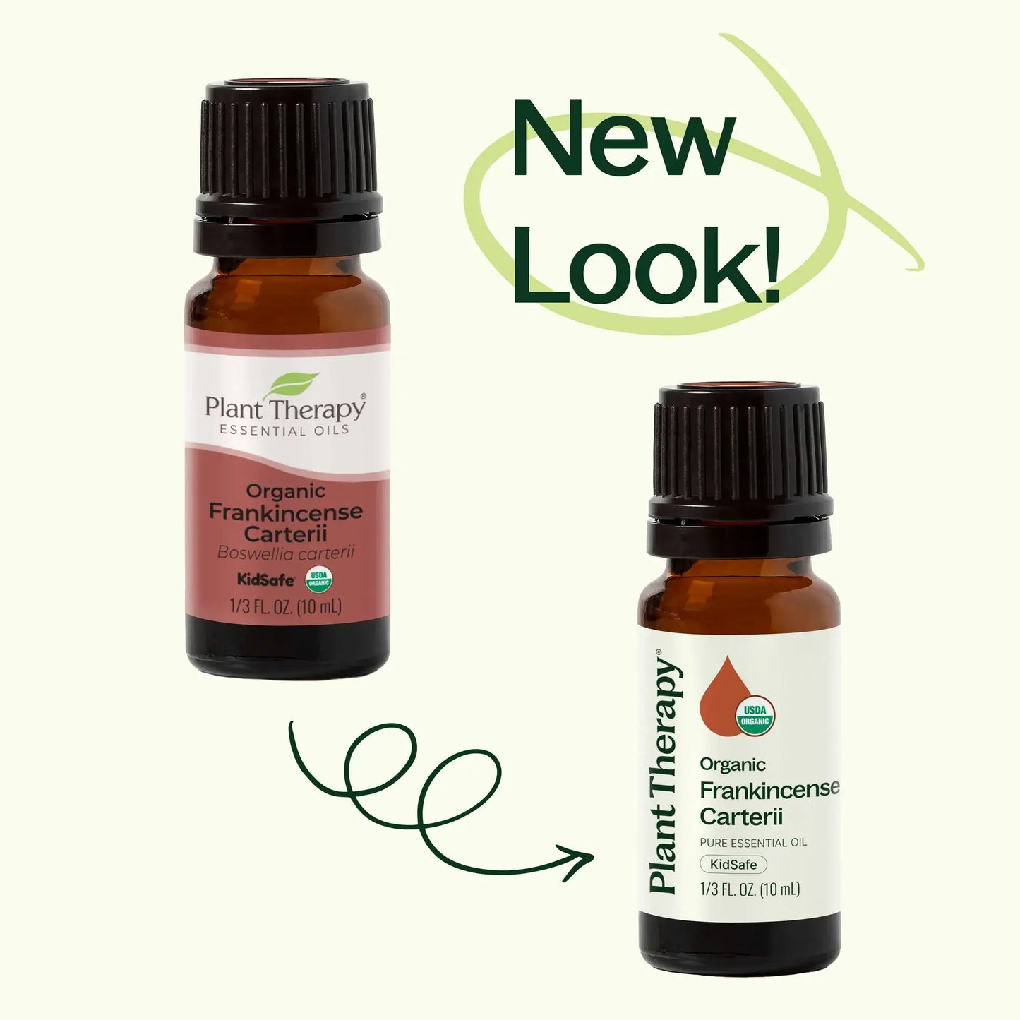 Plant Therapy - Organic Frankincense Carterii Essential Oil 10 mL