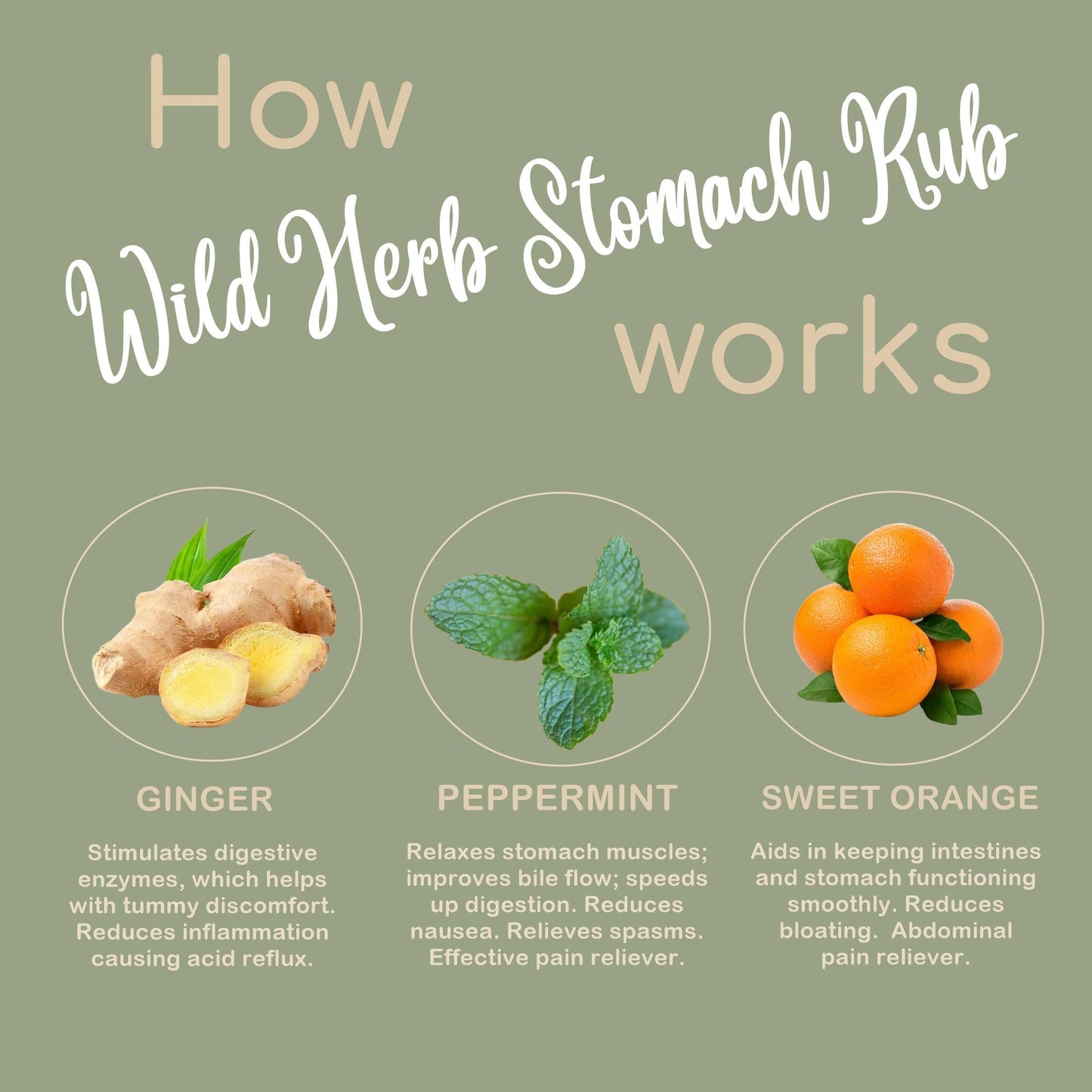 Wild Herb Soap Co - Stomach Rub: All Natural Gas Indigestion Heartburn & Nausea