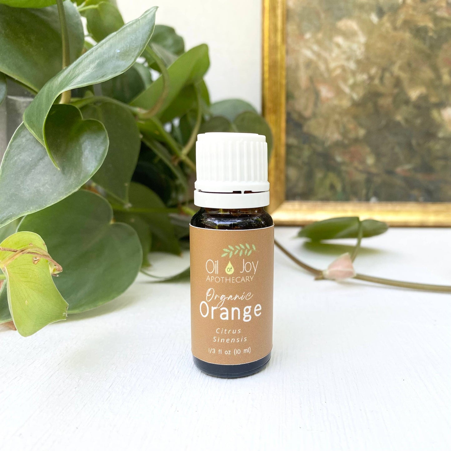 Oil of Joy Apothecary - Organic Essential Oils