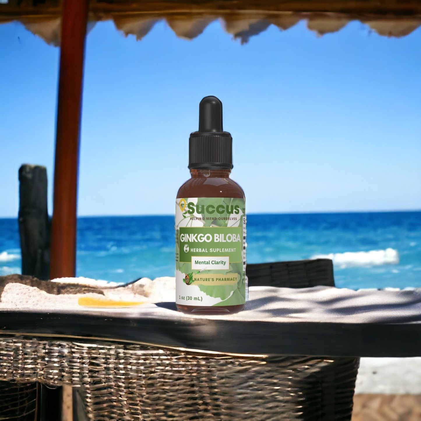 Ginkgo Biloba Tincture - Supports Mental Clarity & Focus Succus