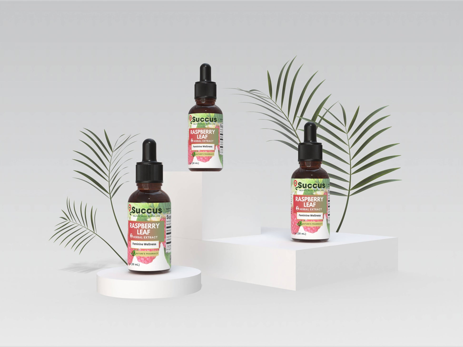 Raspberry Leaf Tincture - Woman's Wellness Succus