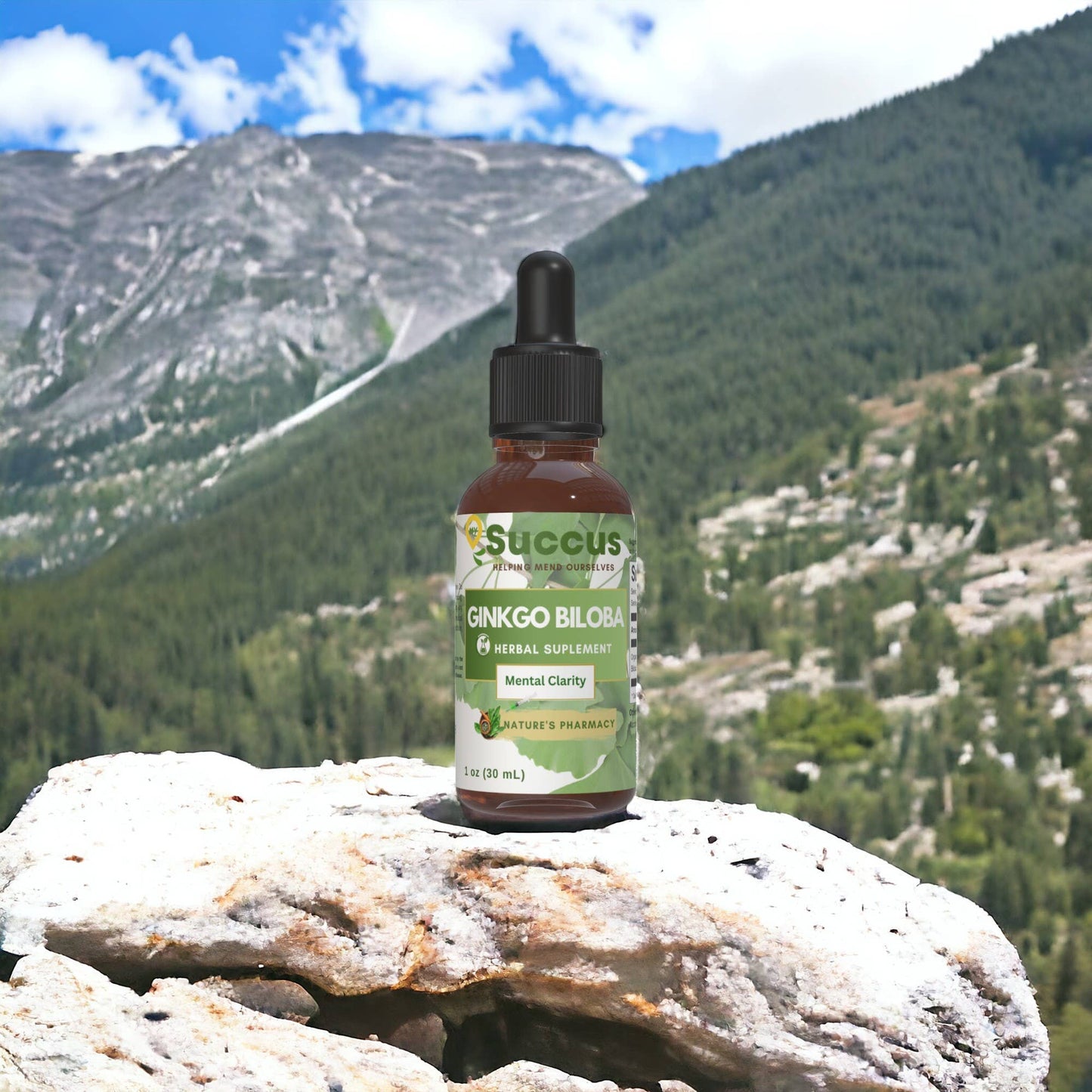 Ginkgo Biloba Tincture - Supports Mental Clarity & Focus Succus