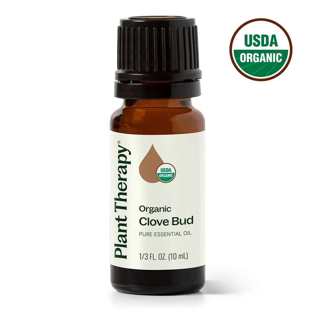 Plant Therapy USDA Certified Organic clove bud essential oil 10mL for immune support, home cleansing and holiday ambiance