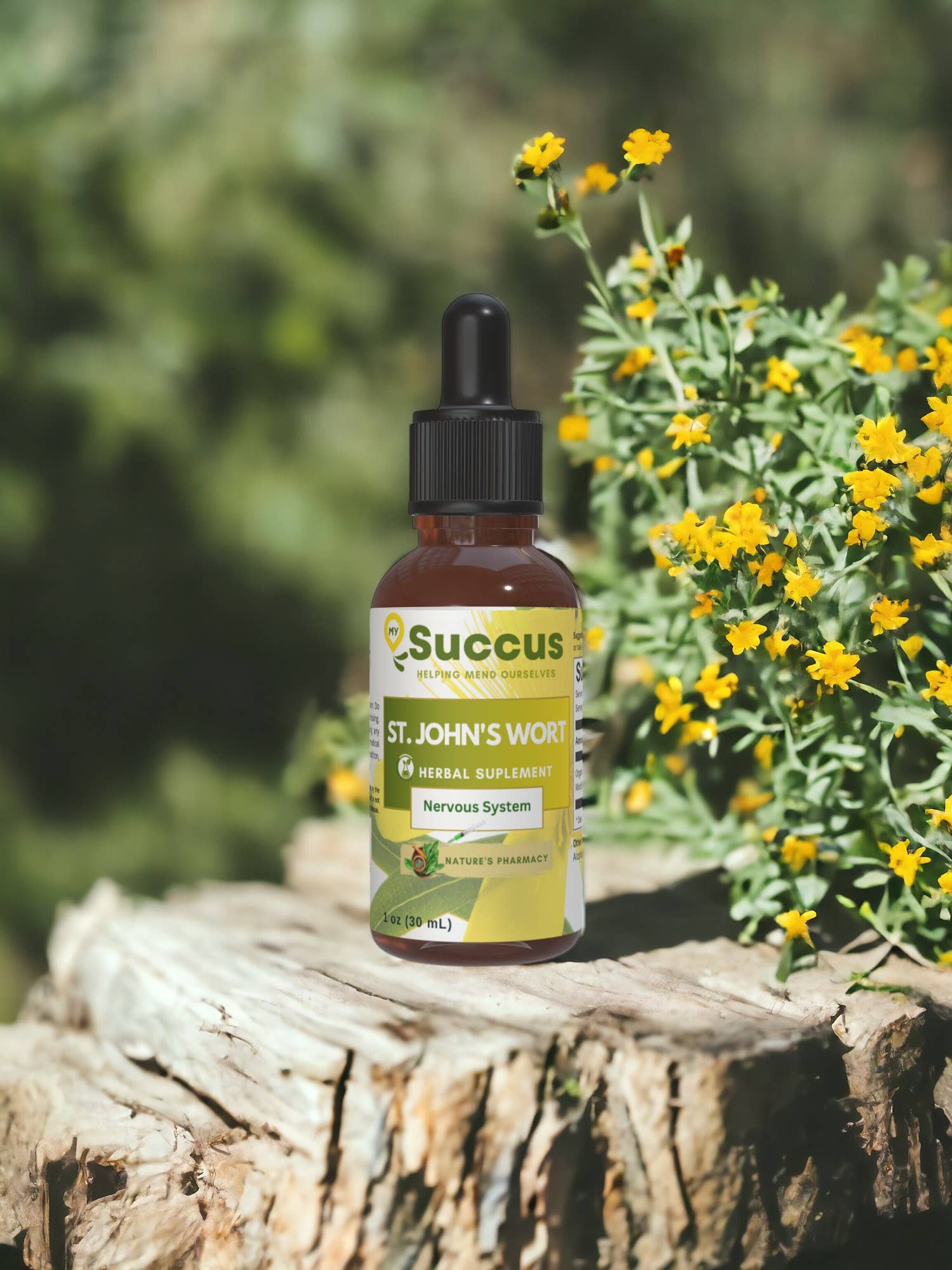 St. John's Wort Tincture - Nervous System (High Potency) Succus