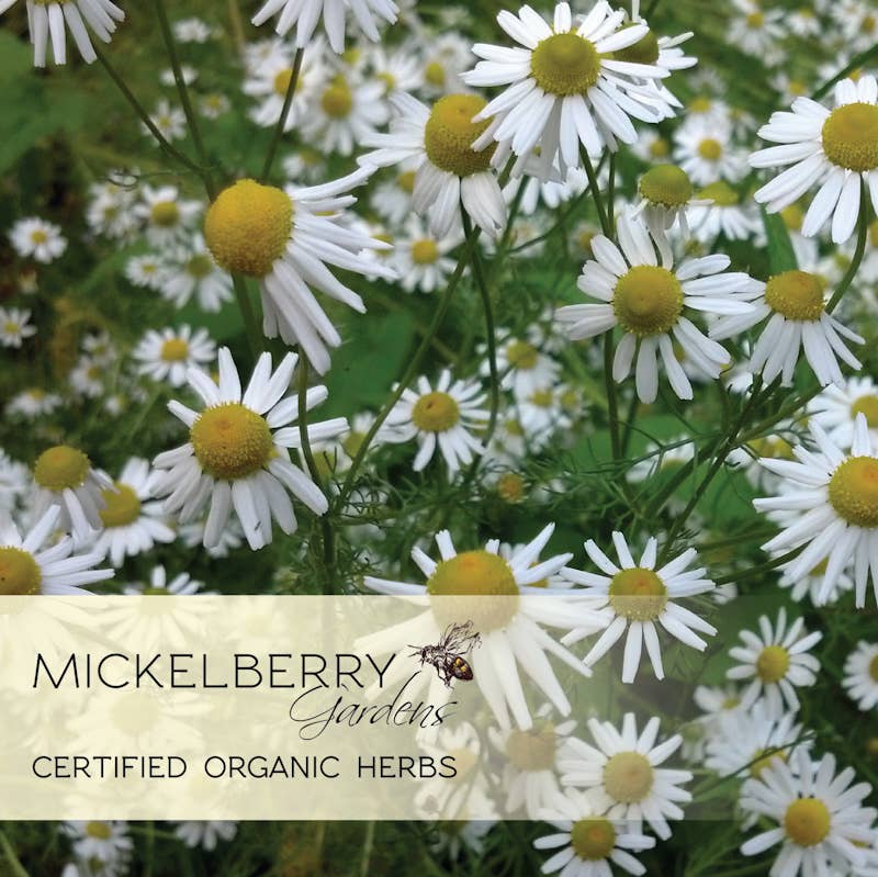 Mickelberry Gardens - Relaxation Honey Tonic — a good nights sleep for all ages