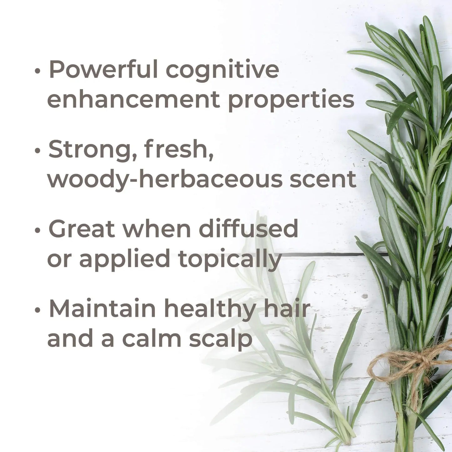 Plant Therapy - Organic Rosemary 1,8-Cineole Essential Oil 10 mL