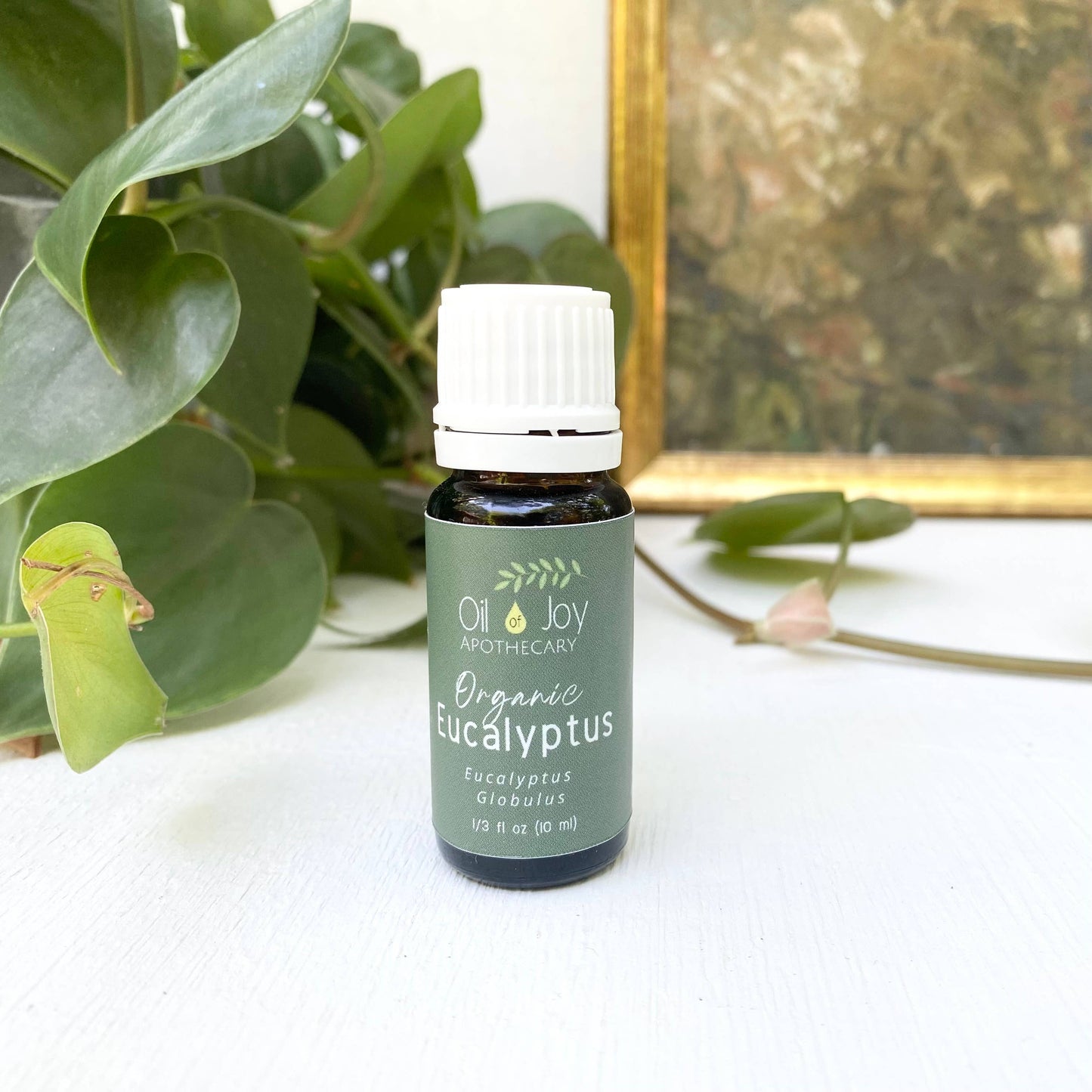 Oil of Joy Apothecary - Organic Essential Oils