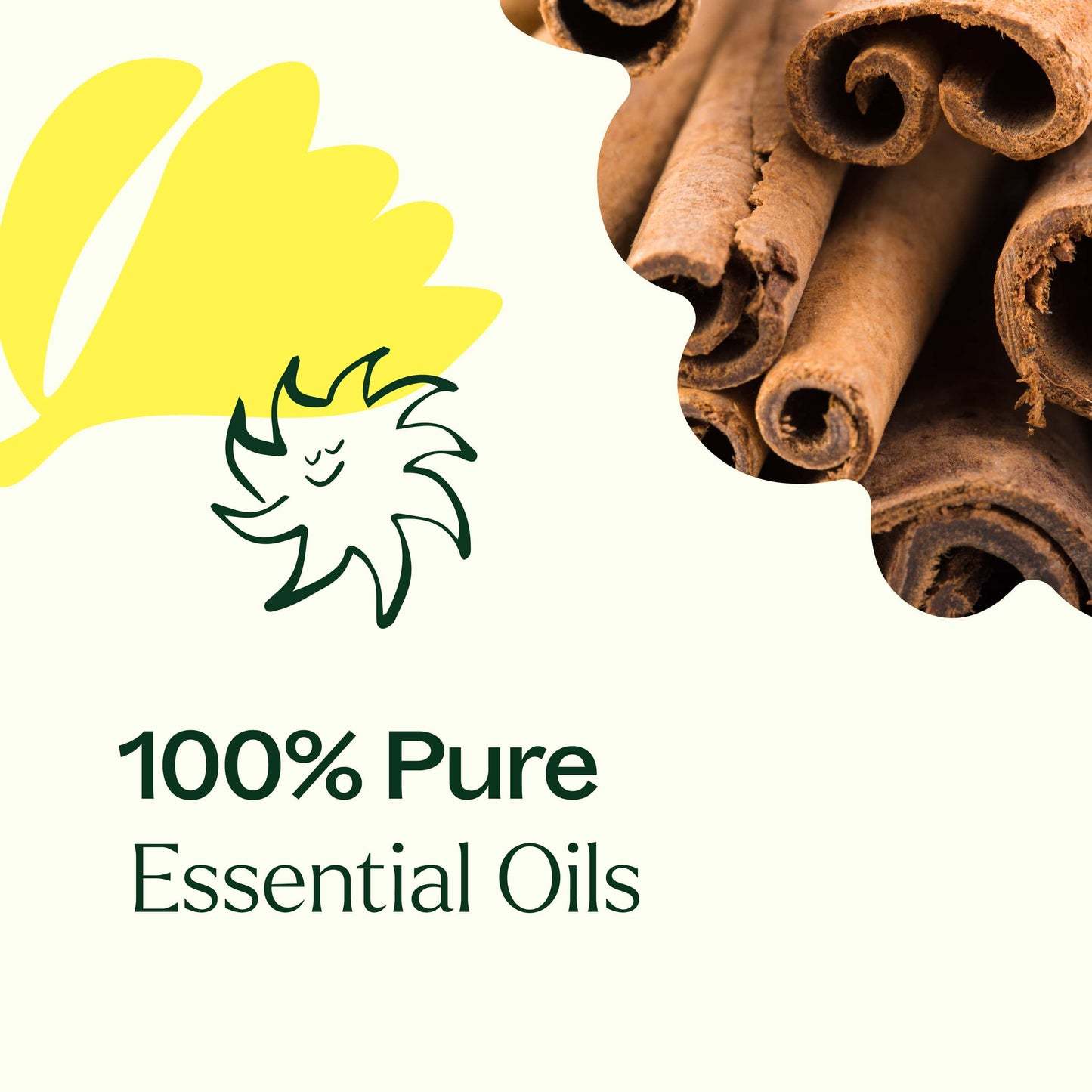 Plant Therapy - Organic Germ Fighter Essential Oil 10 mL