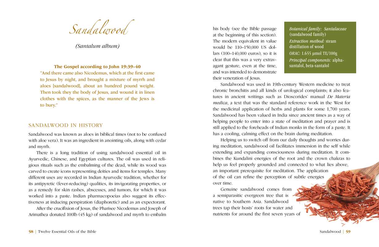 Simon & Schuster - Twelve Essential Oils of the Bible by Karin Opitz-Kreher