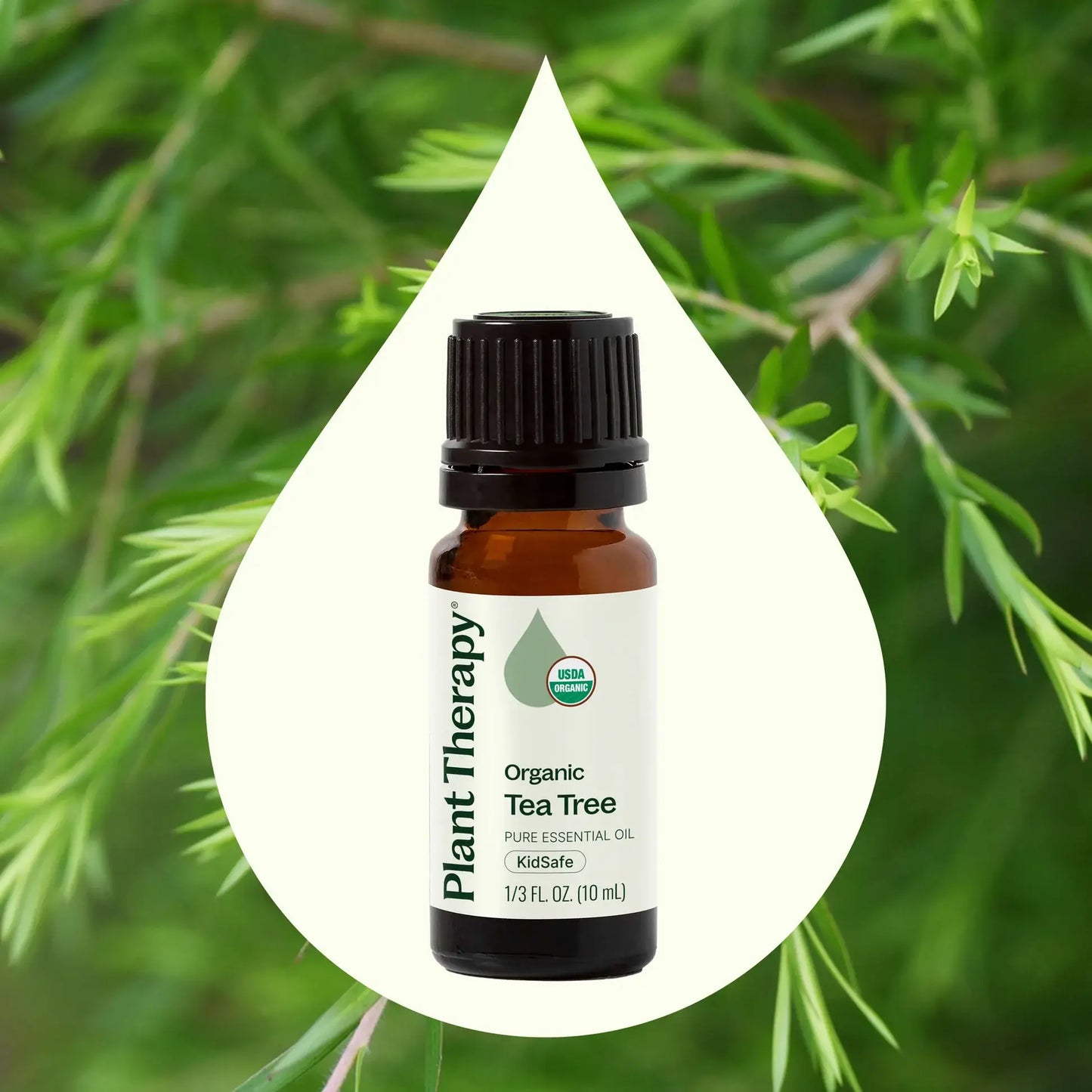 Plant Therapy USDA Certified Organic tea tree essential oil 10mL for blemishes, skin care, DIY cleaning and immune support