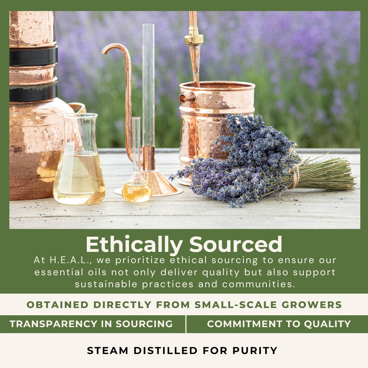 Healthy Energy Amazing Life - Seasonal Scents Gift Set