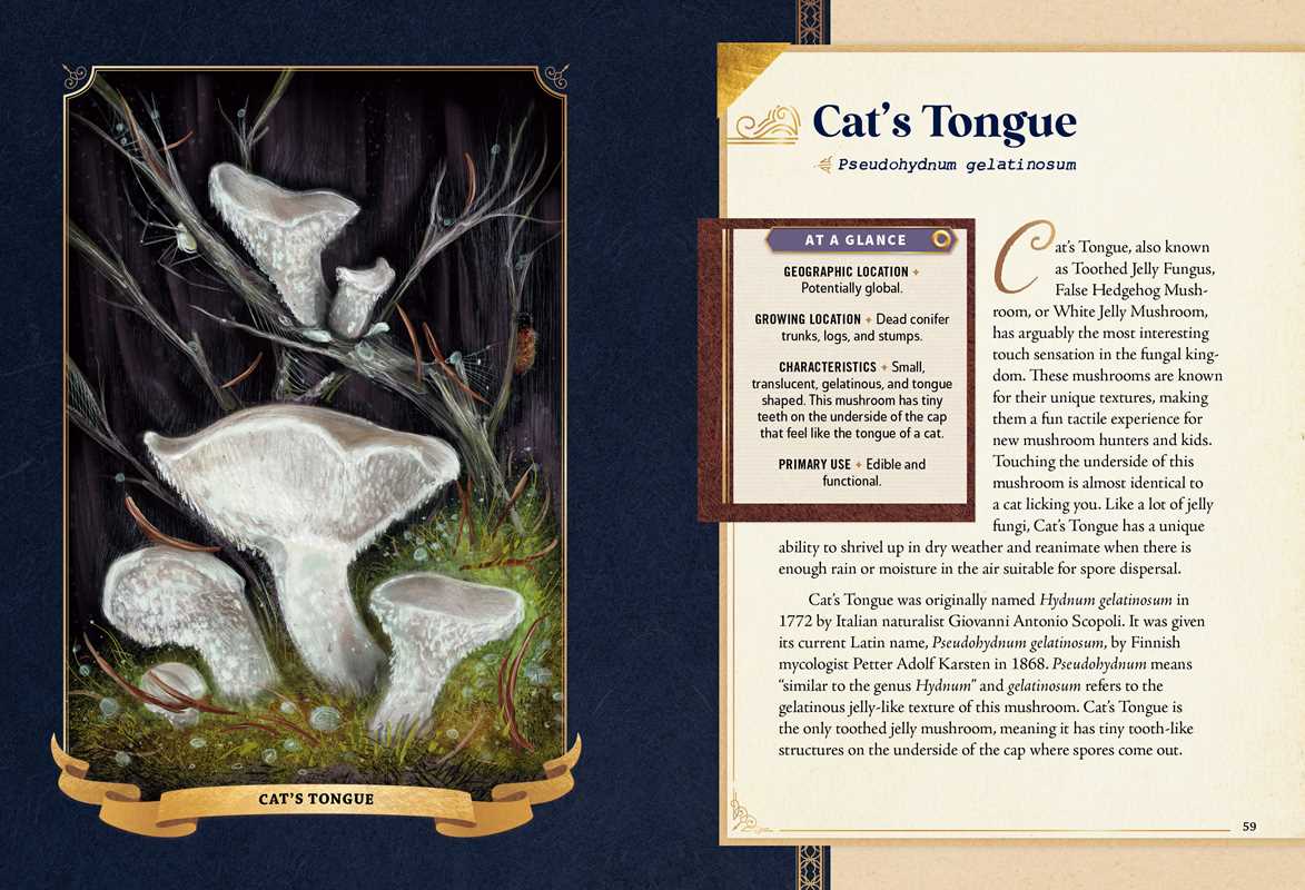 Simon & Schuster - Little Book of Mushrooms by Alex Dorr