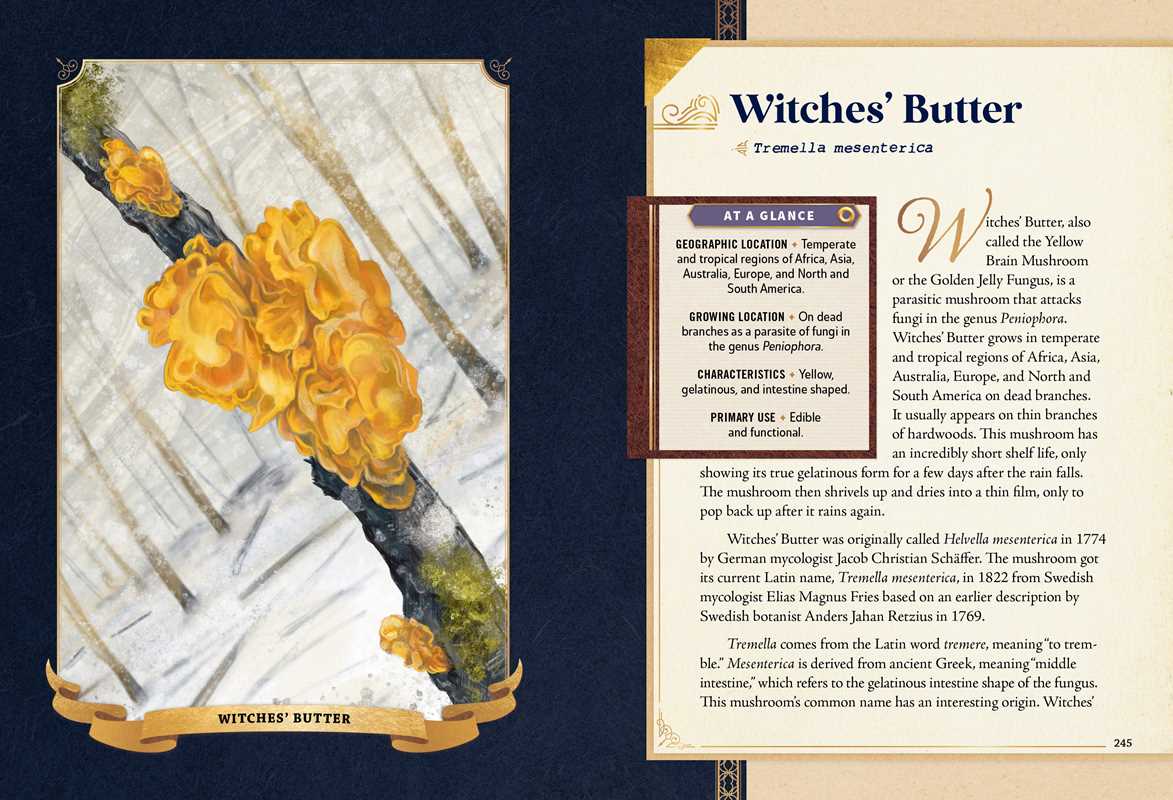 Simon & Schuster - Little Book of Mushrooms by Alex Dorr