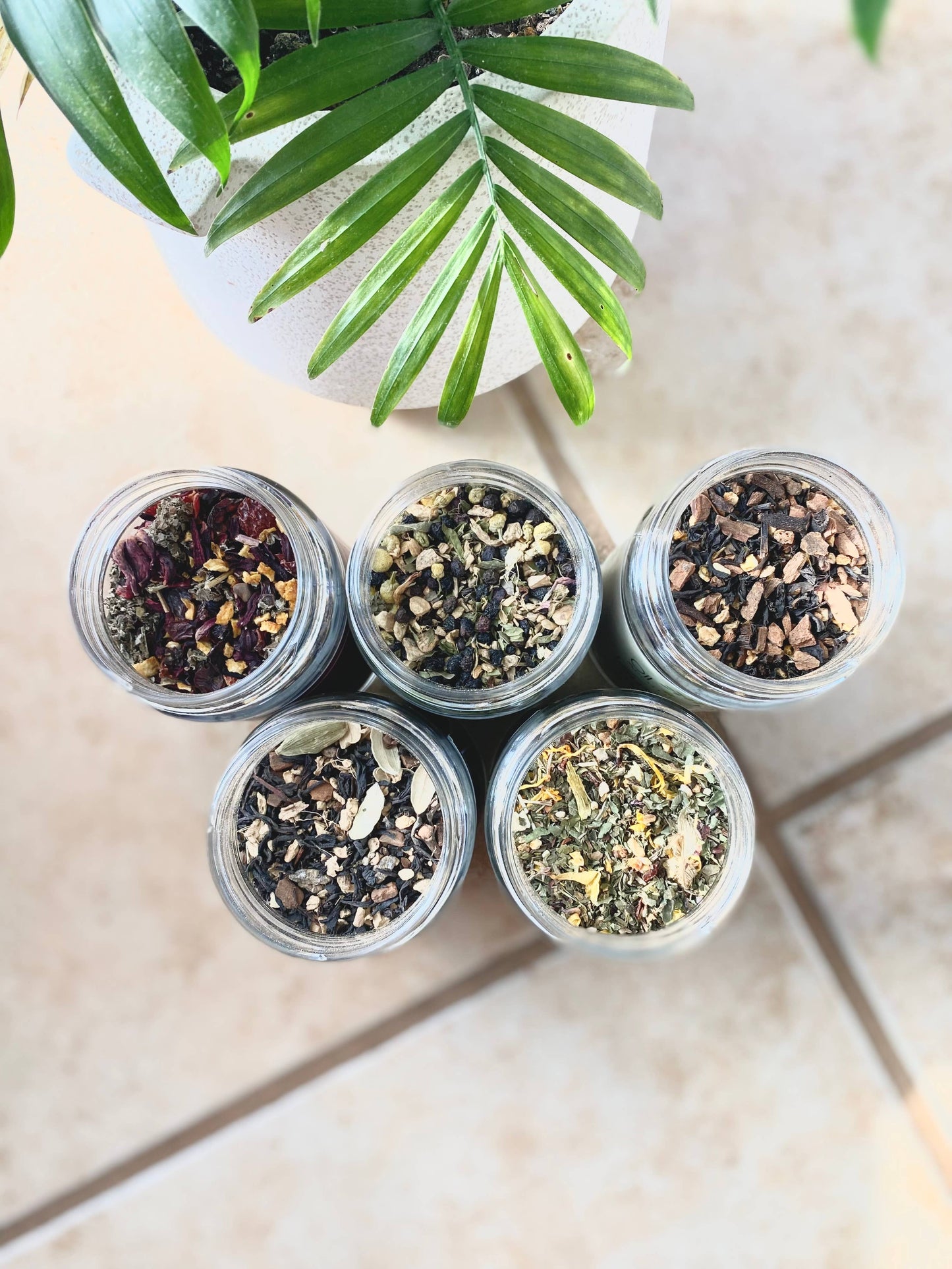 Oil of Joy Apothecary - Immune Booster Wellness Tea, Organic