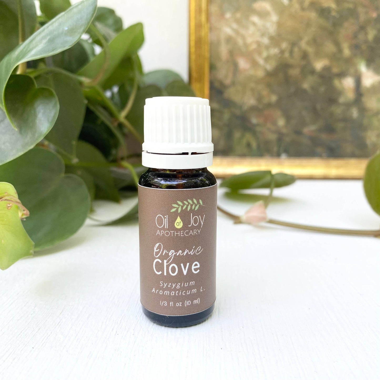 Oil of Joy Apothecary - Organic Essential Oils