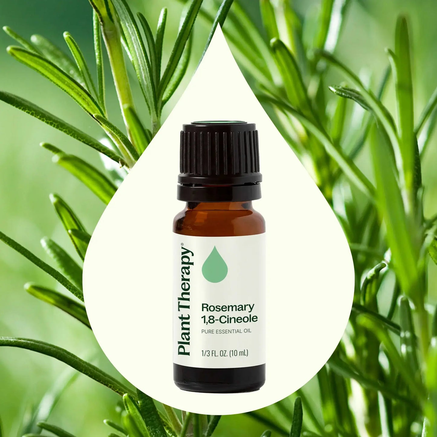 Plant Therapy - Organic Rosemary 1,8-Cineole Essential Oil 10 mL