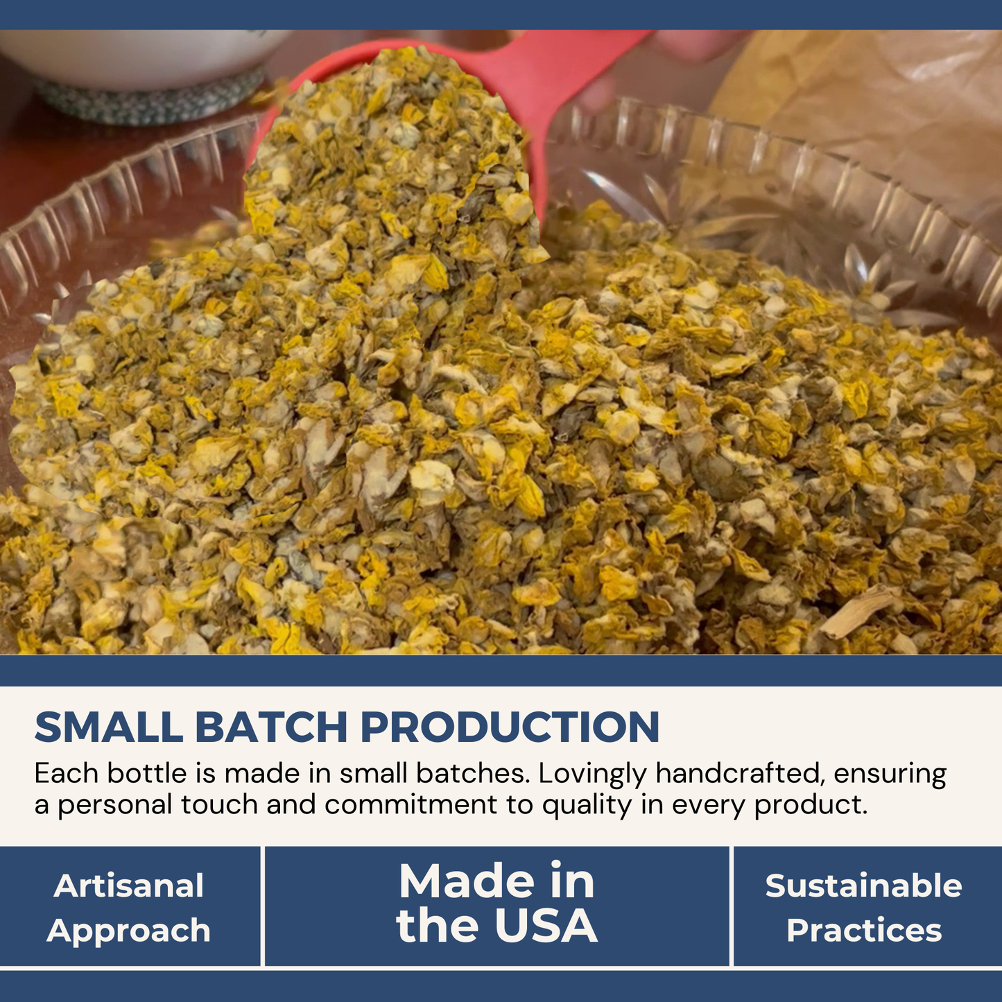 Healthy Energy Amazing Life - Mullein Oil - 1oz