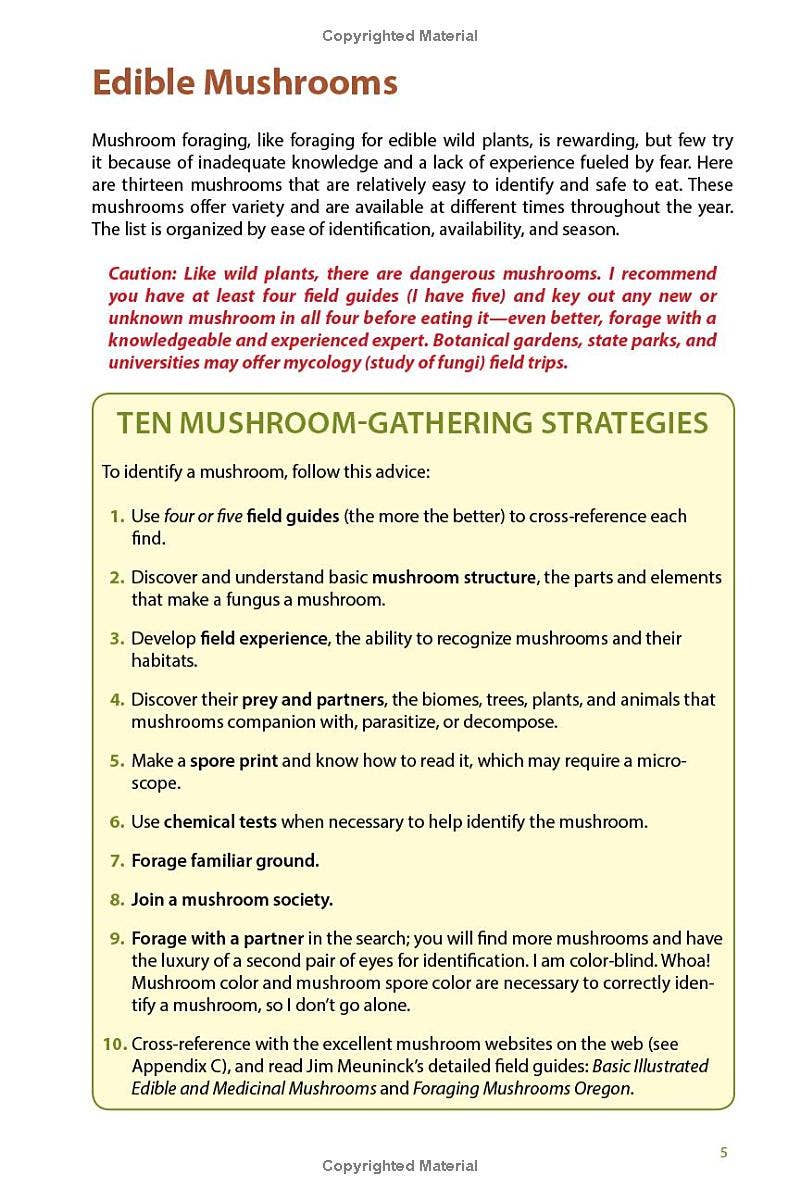 Page from a guide on edible mushroom foraging with safety tips and ten mushroom-gathering strategies