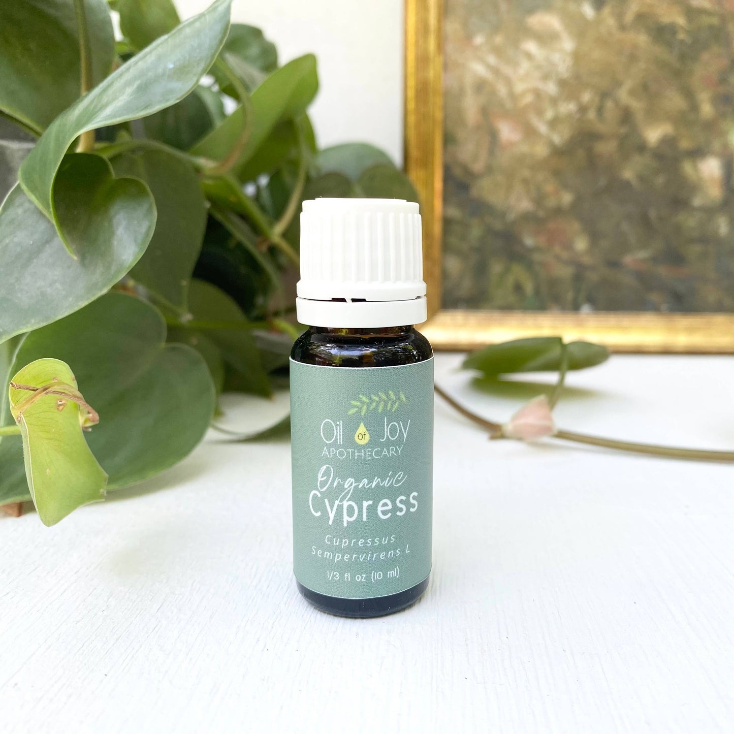 Oil of Joy Apothecary - Organic Essential Oils