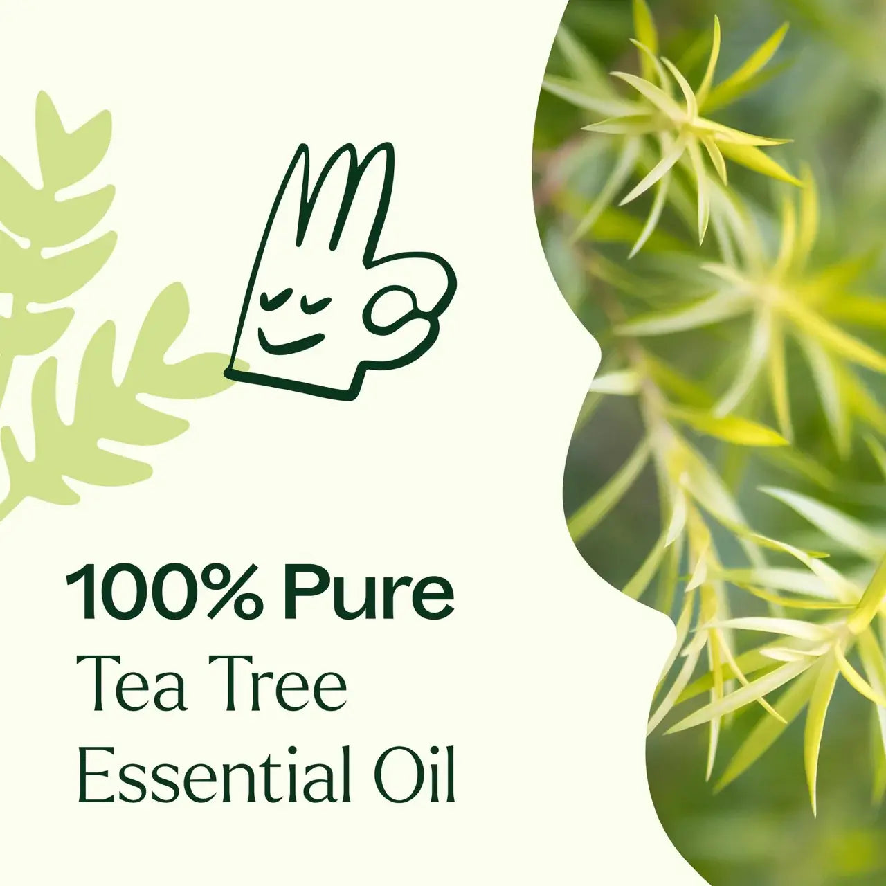 Tea Tree Essential Oil 10 mL