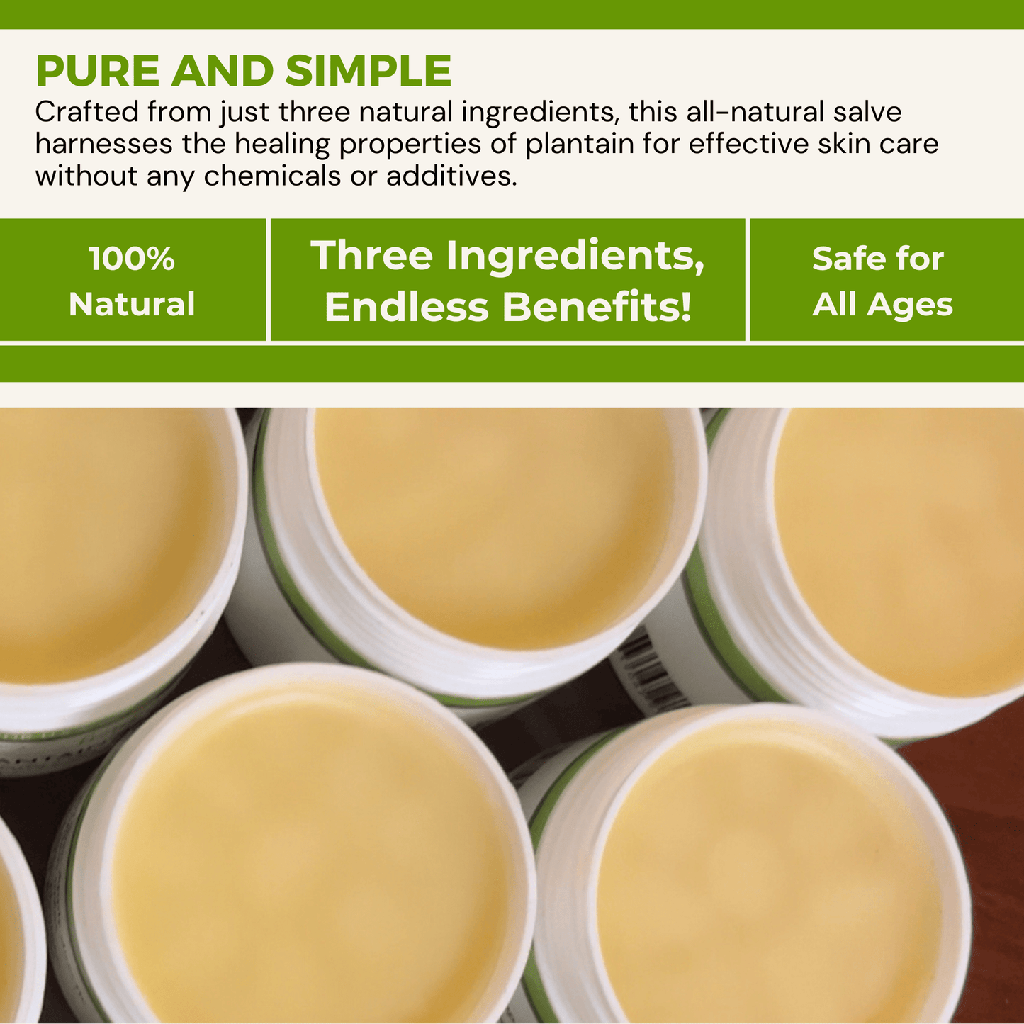 Healthy Energy Amazing Life - H.E.A.L.'s Plantain Salves- OLD PACKAGING