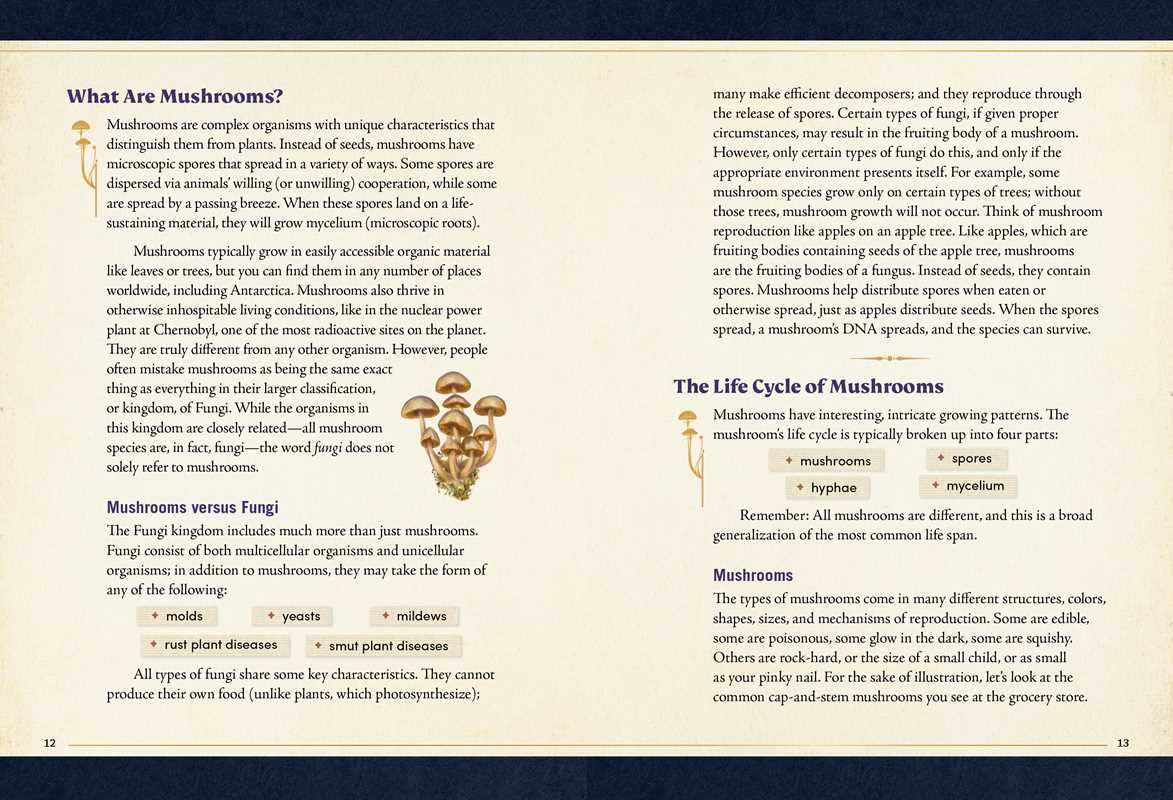 Simon & Schuster - Little Book of Mushrooms by Alex Dorr