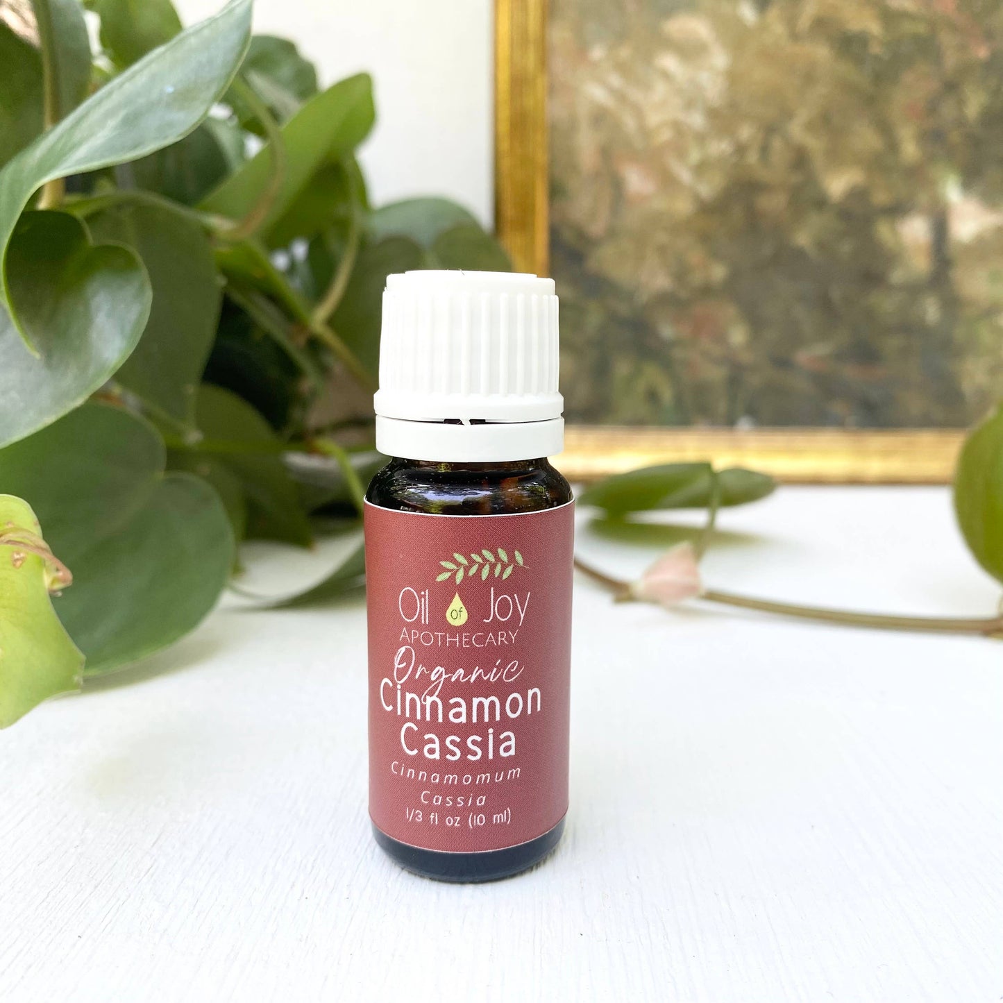 Oil of Joy Apothecary - Organic Essential Oils