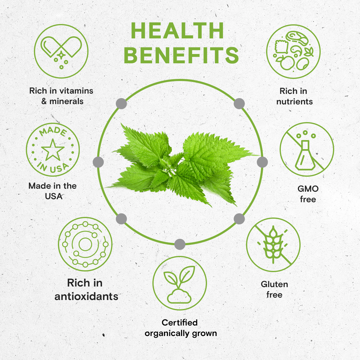 Secrets Of The Tribe - Stinging Nettle Leaf Tincture