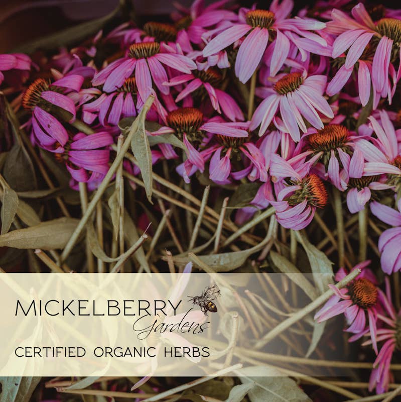 Mickelberry Gardens - Throat and Lung Honey Tonic — nourish your sore throat