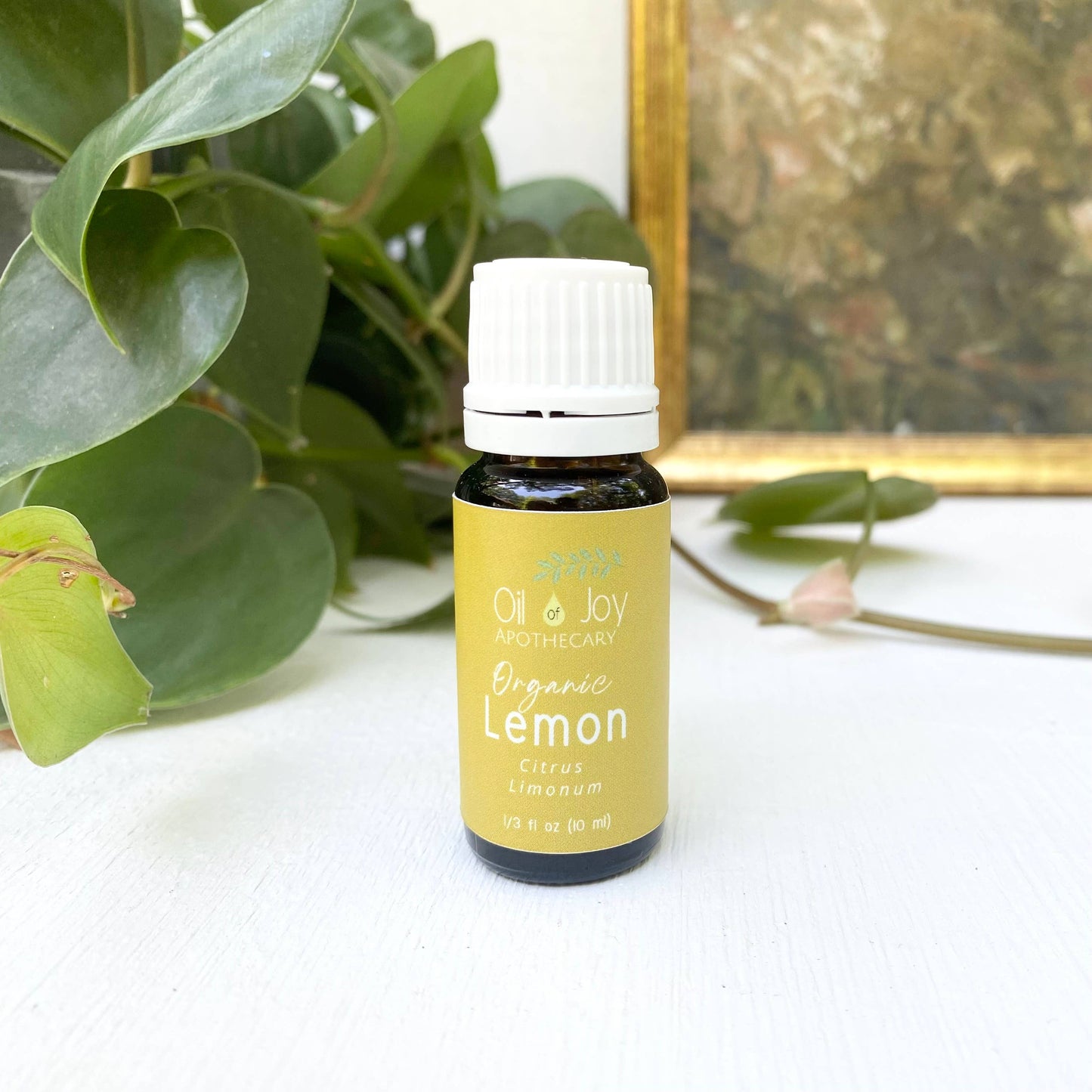 Oil of Joy Apothecary - Organic Essential Oils