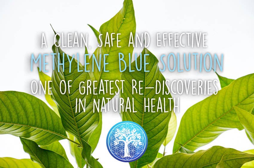 Methylene Blue - 100ml | 1% Solution | 99.99% Pure USP Grade