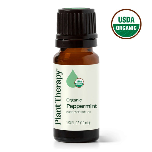 Plant Therapy USDA Certified Organic oregano essential oil 10mL for cleansing, immune support and joint comfort
