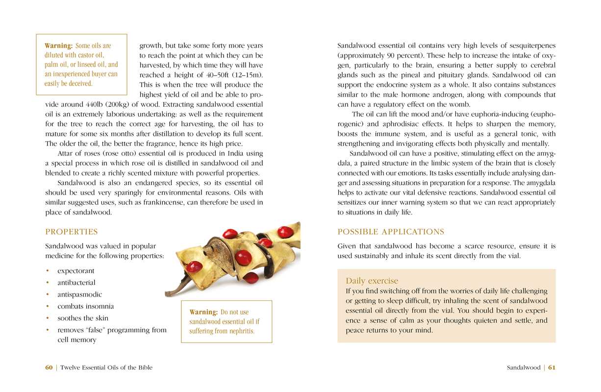 Simon & Schuster - Twelve Essential Oils of the Bible by Karin Opitz-Kreher