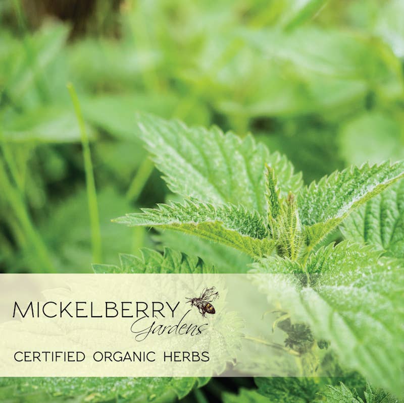 Pollen Honey Tonic — seasonal allergy support