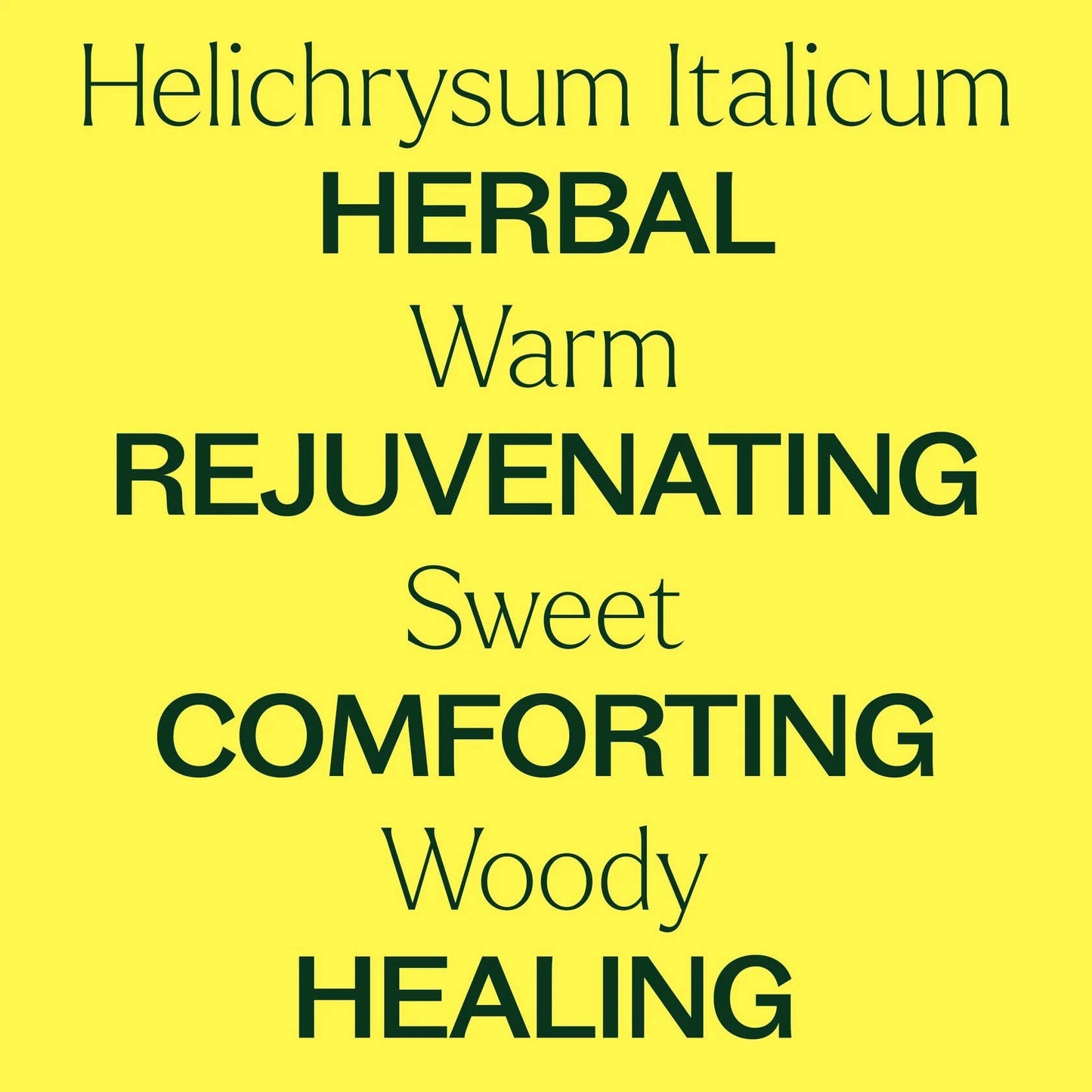 Organic Helichrysum Italicum Essential Oil 2.5 mL
