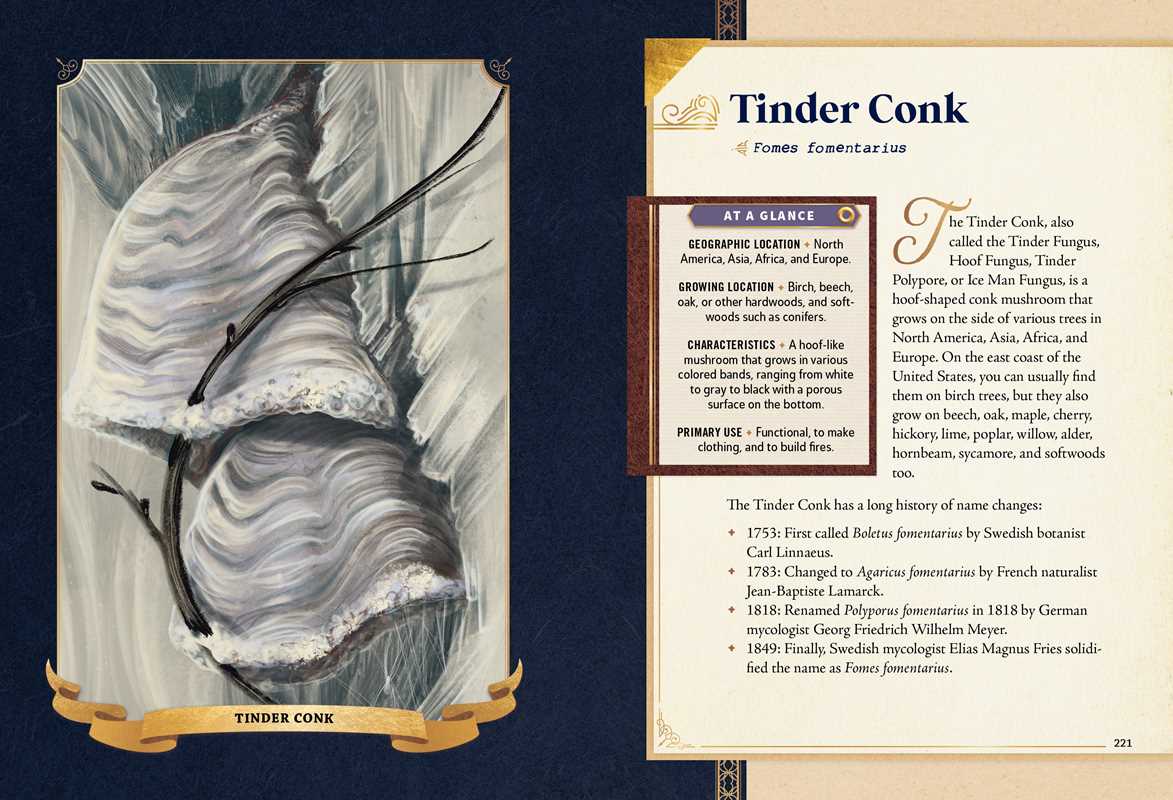 Simon & Schuster - Little Book of Mushrooms by Alex Dorr