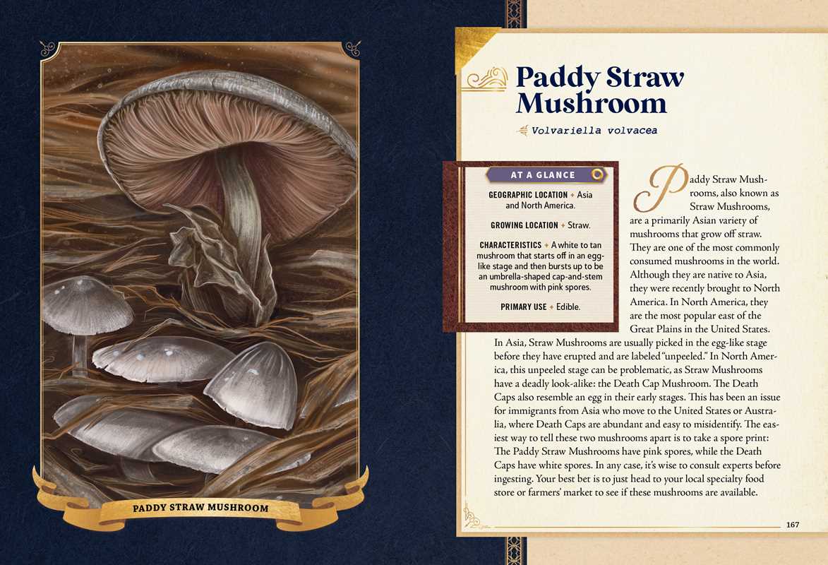 Simon & Schuster - Little Book of Mushrooms by Alex Dorr